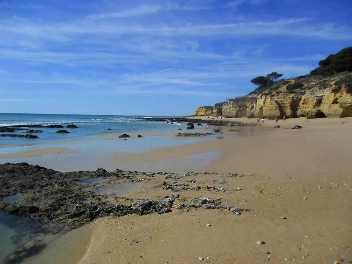 Appartement Albufeira, Ocean Terrace