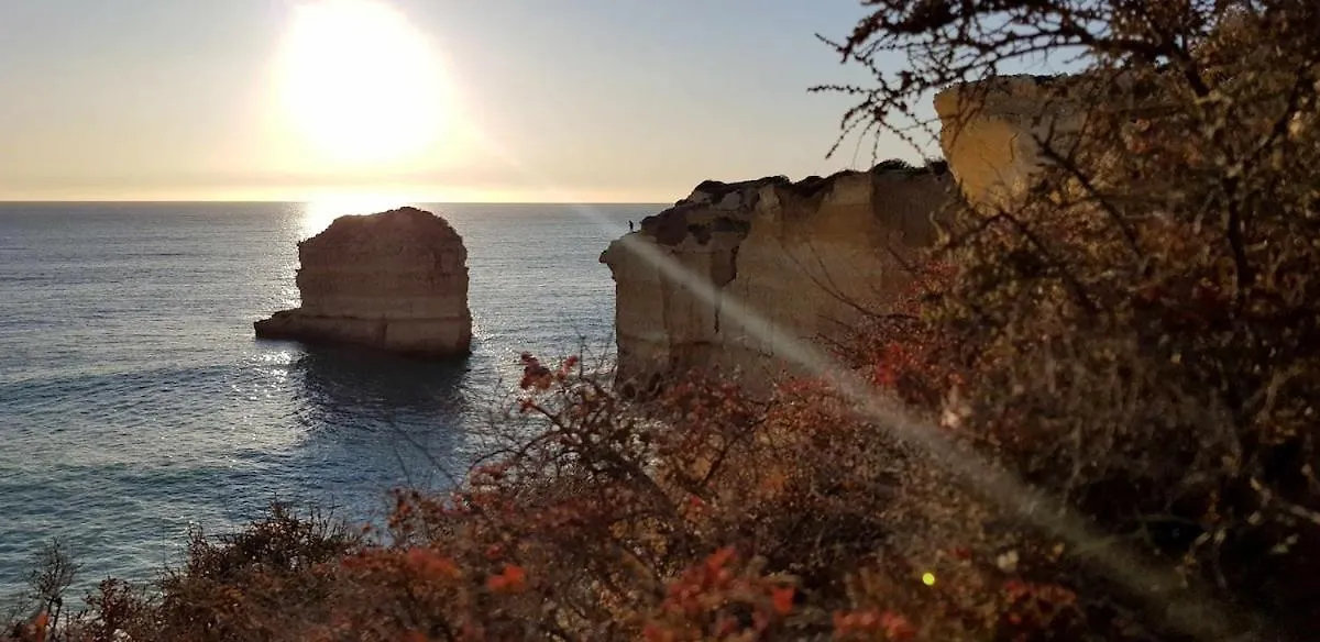 Appartement Albufeira, Ocean Terrace